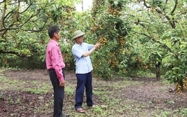 Xây dựng nông thôn mới gắn với giảm nghèo bền vững: Lấy người dân làm trung tâm phát triển