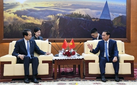 Phó Thủ tướng Bùi Thanh Sơn tiếp Đại sứ Trung Quốc Hà Vĩ