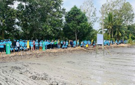 Canh tác lúa xanh với 'bón phân đúng': Từ chủ trương đến thực hành trên đồng ruộng