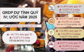 Đồng Nai bứt phá mạnh mẽ, GRDP năm 2025 vượt mục tiêu