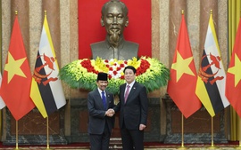 TUYÊN BỐ CHUNG VIỆT NAM – BRUNEI DARUSSALAM