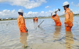 Khôi phục điện sau bão số 13 tại Gia Lai: Cuộc chạy đua với 3 kỷ lục