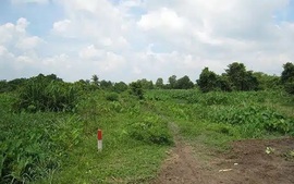 Đất khai hoang có xin cấp Giấy chứng nhận được không?