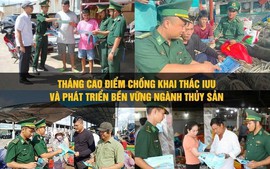 Cà Mau tạo chuyển biến toàn diện trong chống khai thác IUU