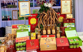 OCOP - Đòn bẩy nâng tầm nông sản Phúc Hòa