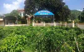 Hành trình OCOP Bắc Ninh: Từ sản vật quê hương đến thương hiệu vươn xa