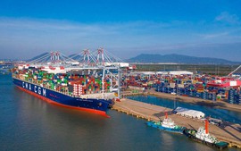 Hàng hóa qua cảng biển tăng mạnh, 100% thủ tục hành chính được làm 'online'