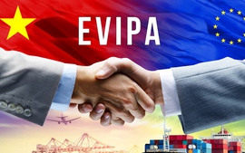 Từ quyết định của Đức: Lá phiếu niềm tin cho Việt Nam