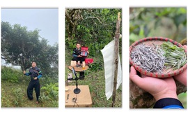 Người kể câu chuyện Phình Hồ bằng trà, mây và công nghệ