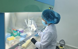 Đột phá về công nghệ giám định ADN hài cốt liệt sĩ tại Việt Nam