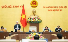 Các Nghị quyết của Quốc hội và Ủy ban Thường vụ Quốc hội khóa XV