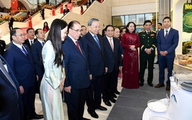 Khẳng định vị thế trí tuệ Việt trên bản đồ vật liệu công nghệ cao toàn cầu