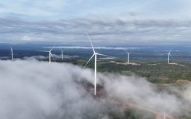 Chính thức vận hành thương mại nhà máy điện gió Savan 1 của T&T Group tại Lào