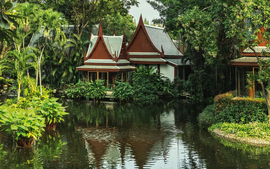 Vì sao giới thượng lưu ngày càng ưu tiên các trung tâm wellness chuyên sâu?