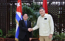 Việt Nam - Cuba: Tiếp tục triển khai các dự án,nâng cao hiệu quả, quy mô hợp tác trên các lĩnh vực