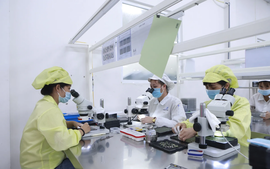 Vì sao Phú Thọ đang hấp dẫn các nhà đầu tư nước ngoài?