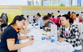 Điều kiện thành lập, tổ chức và hoạt động của tổ chức dịch vụ việc làm công