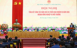 Ngành Nông nghiệp và Môi trường bứt phá, xuất khẩu tăng trưởng kỷ lục