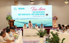 Đề án 1 triệu hecta lúa: Hạt gạo mang theo khát vọng phát triển bền vững