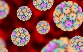 Bộ 3 bảo vệ khỏi HPV: Tiêm chủng, xét nghiệm tầm soát định kỳ và theo dõi kịp thời