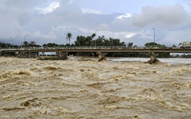 Lũ trên sông Cái đang lên nhanh, cảnh báo ngập lụt tại Khánh Hòa