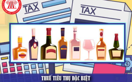 8 điểm mới của Luật Thuế tiêu thụ đặc biệt 2025