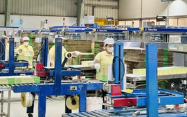 Hơn 6,4 nghìn doanh nghiệp được hỗ trợ từ chương trình nâng cao năng suất, chất lượng sản phẩm