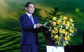 Khai mạc Lễ hội Trà quốc tế 2025