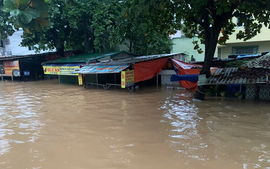 Công an Khánh Hòa điều tra việc vận hành xả lũ các hồ chứa