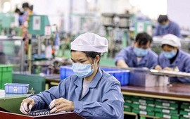 Điều kiện áp dụng hình thức sa thải lao động