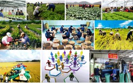 Phát triển kinh tế tập thể, hợp tác xã theo mô hình xanh, số, tuần hoàn