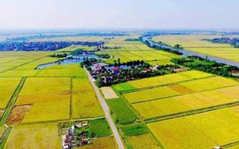 Tính tiền sử dụng đất khi chuyển từ đất nông nghiệp sang đất ở