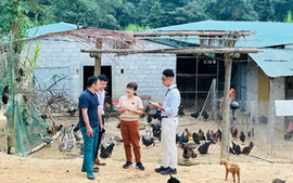 Tín dụng chính sách đưa đường 'Đảng viên đi trước'