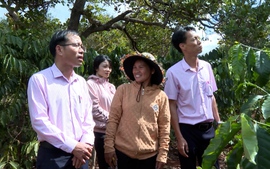 Gia Lai: Vùng biên giới Đức Cơ giảm nghèo từ vốn tín dụng chính sách