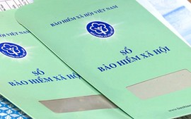 Viên chức đi học nước ngoài có được hưởng chế độ thai sản?