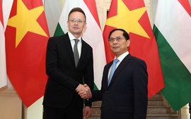 Việt Nam, Hungary phối hợp xây dựng cơ sở pháp lý để tăng cường hợp tác lao động