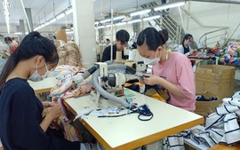 Công ty ngừng hoạt động, làm thế nào để hưởng chế độ thai sản?