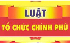 Triển khai các nhiệm vụ về đẩy mạnh phân quyền, phân cấp quy định tại Luật Tổ chức Chính phủ, chính quyền địa phương