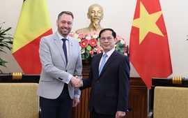 Việt Nam đề nghị Bỉ sớm phê chuẩn Hiệp định Bảo hộ đầu tư Việt Nam – EU