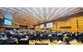 Việt Nam, IAEA hợp tác chặt chẽ trong phát triển và ứng dụng công nghệ hạt nhân vì mục đích hòa bình