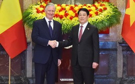 Chủ tịch nước Lương Cường và Nhà vua Bỉ Philippe hội kiến