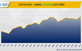 Chỉ số MXV-Index ‘chinh phục’ lại vùng 2.300 điểm