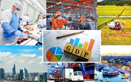 Chỉ đạo, điều hành của Chính phủ, Thủ tướng Chính phủ ngày 11/4/2025 (2)