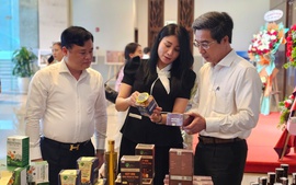 Vĩnh Phúc xúc tiến, quảng bá du lịch tại miền Trung