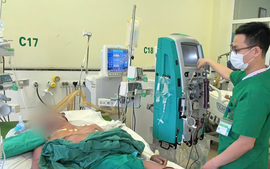 Vẫn ghi nhận ca bệnh mắc liên cầu lợn