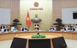 Chính phủ cho ý kiến về 06 dự án luật, nghị quyết