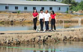 Agribank đẩy mạnh tín dụng ưu đãi lĩnh vực nông, lâm, thủy sản