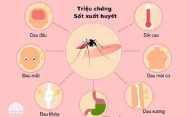 Sốt xuất huyết trên thế giới gia tăng