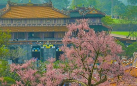 "Festival Nhiếp ảnh quốc tế Việt Nam" lần thứ ba, năm 2025 tại thành phố Huế