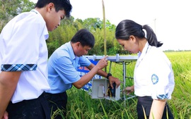 Tạo bệ phóng cho "thế hệ vươn mình" – Nhìn từ 2 sân chơi công nghệ lớn
